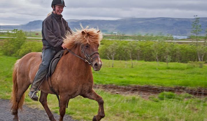 Horseback ride up to the mountain Ingólfsfjall.