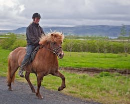 Horseback ride up to the mountain Ingólfsfjall.