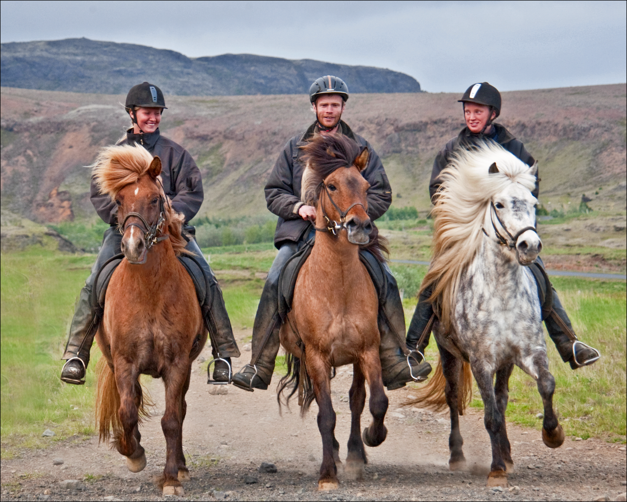 アイスランドの馬の特徴、トルトゥも経験
