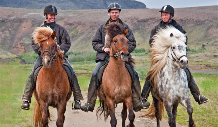 You can try the unique 'tolt' gait of the Icelandic horse on this 5-hour horse riding tour for experienced riders.