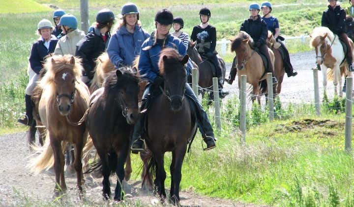 Res runt på den idylliska landsbygden på Sydisland till häst.