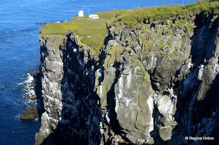 Latrabjarg looks breathtaking with its high cliffs.