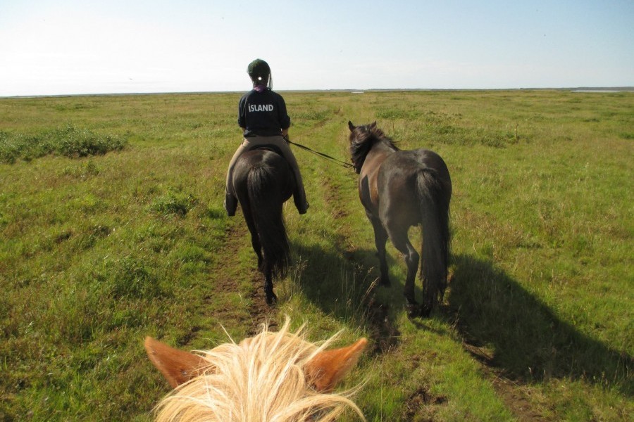 Riding the Icelandic horse through the beautiful countryside of southwest Iceland.