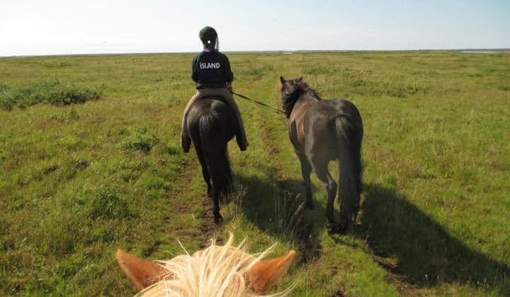 Riding the Icelandic horse through the beautiful countryside of southwest Iceland.