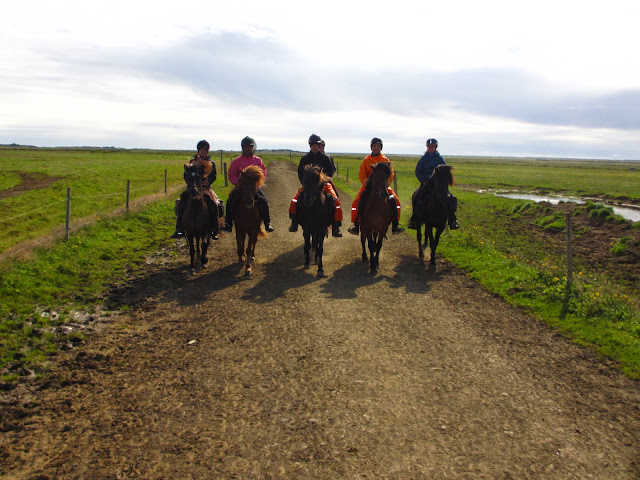 Ride a horse through the Icelandic countryside and get in touch with nature.