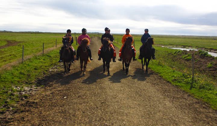 Ride a horse through the Icelandic countryside and get in touch with nature.