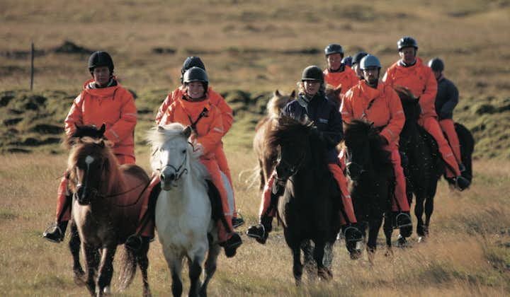 A group of people enjoy a ride across the Icelandic countryside on Icelandic horses.