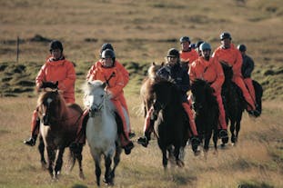 A group of people enjoy a ride across the Icelandic countryside on Icelandic horses.