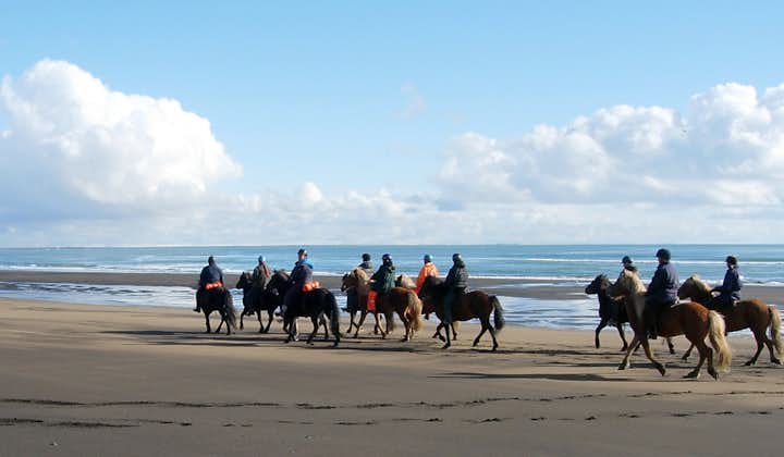 在冰岛海滩上体验骑马的乐趣。