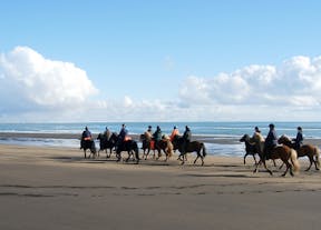 在冰岛海滩上体验骑马的乐趣。