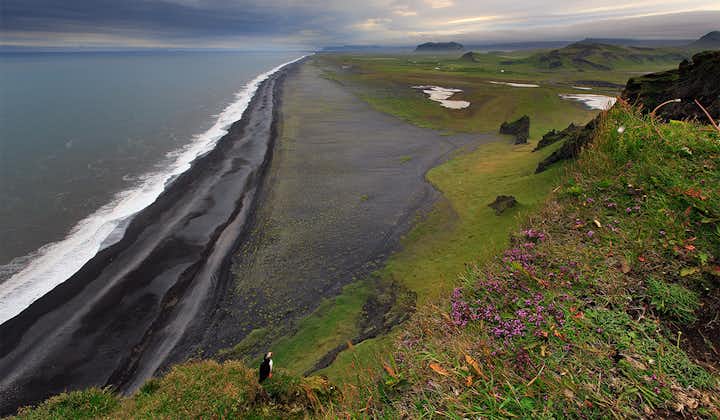 アイスランド南部の美しい景色が美しいディルホラエイの岬