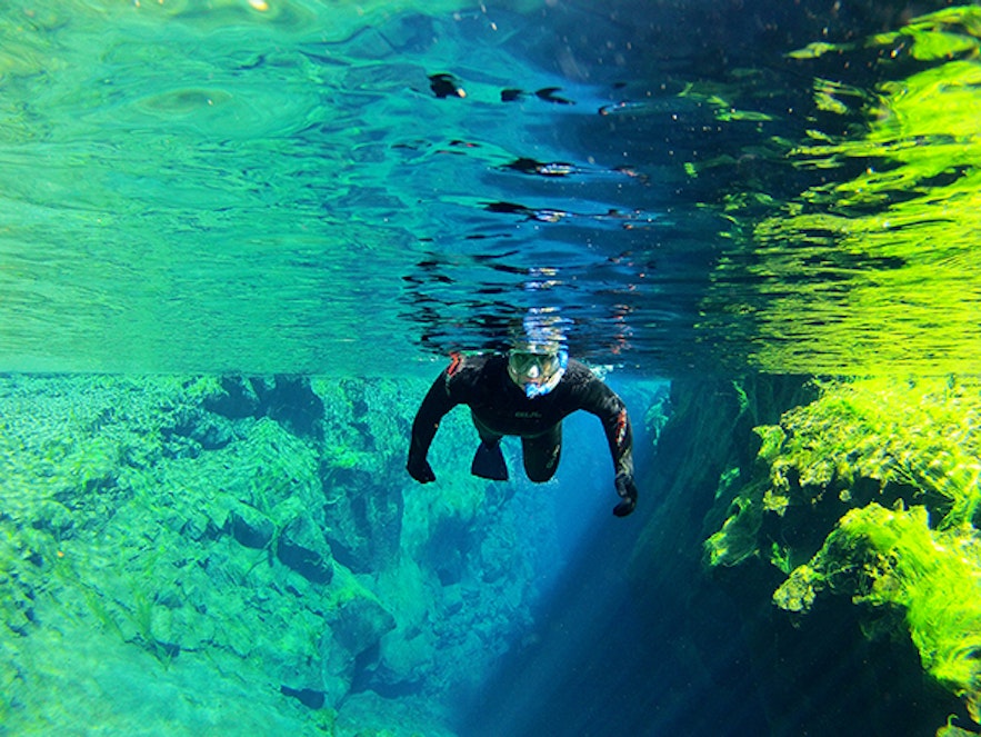 冰岛大裂缝浮潜团