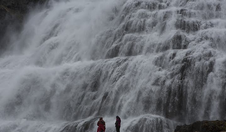 冰岛西部峡湾的丁坚地瀑布Dynjandi是冰岛最壮丽的瀑布之一