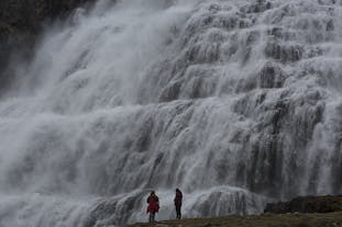 アイスランドの西フィヨルド地方で人気の名所、ディンヤンディの滝