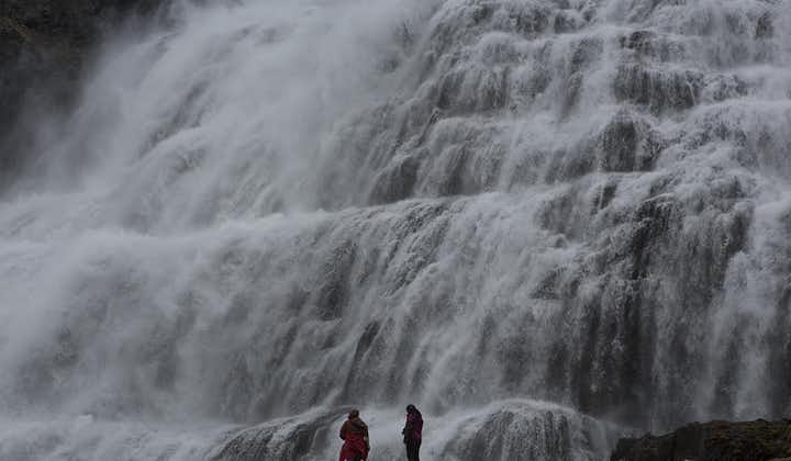 La cascade de Dynjandi est l'un des sites naturels les plus impressionnants des Fjords de l'Ouest de l'Islande.