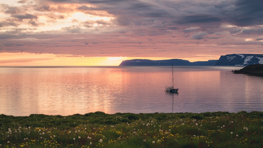 Top 11 Highlights of the Westfjords Summer Season
