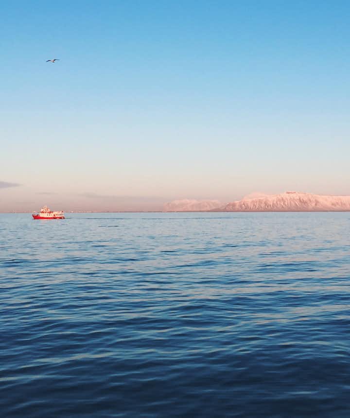 冰岛观鲸团－深冬季节遇上好天气