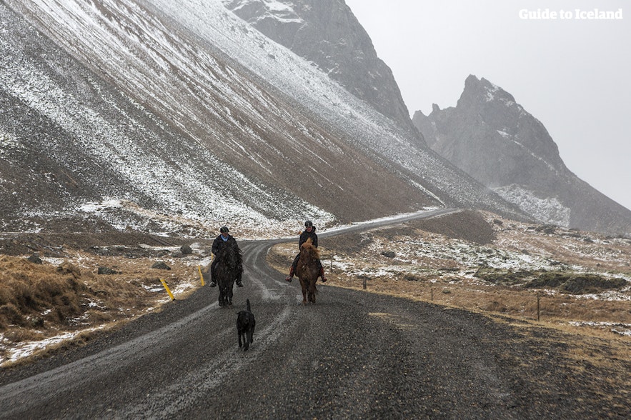 Jinetes a caballo por una carretera de montaña en invierno en Islandia.