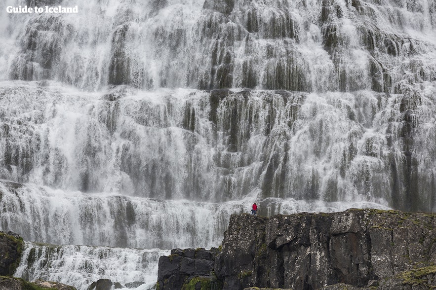 Dynjandi waterfall in Iceland's Westfjords make an impressive backdrop for a marriage proposal