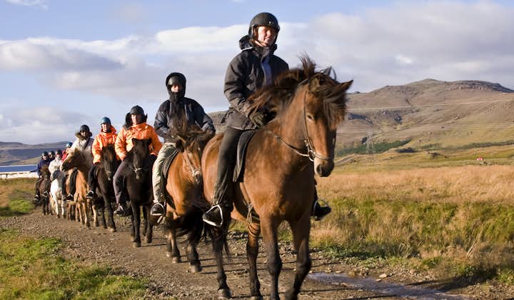 Ride the Icelandic horse through the countryside in the morning.