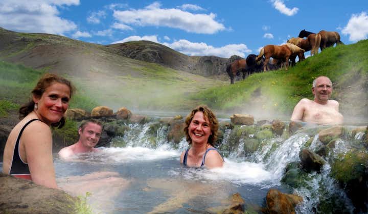 您的冰岛马将会在您享受天然地热温泉的时候在一旁休息等待