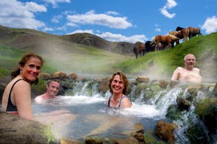 Your Icelandic horse will be more than happy resting and grazing while you relax in a natural hot spring.