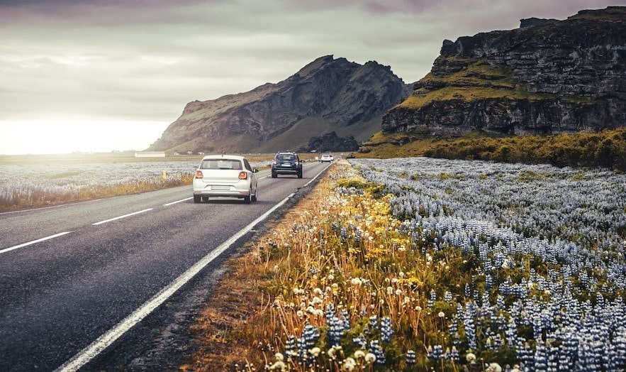 您可以在冰岛租到多种车型。