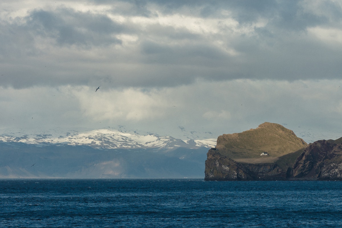 Ellidaey Island Travel Guide | Guide to Iceland