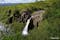 svartifoss-amp-other-beautiful-attractions-in-skaftafell-in-south-iceland-7.jpeg