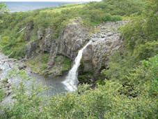 The Hundafoss waterfall near Svartifoss in the Skaftafell Nature Reserve.