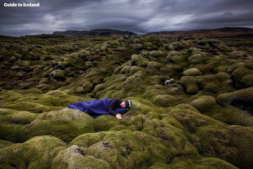 Taking a nap in the Icelandic moss
