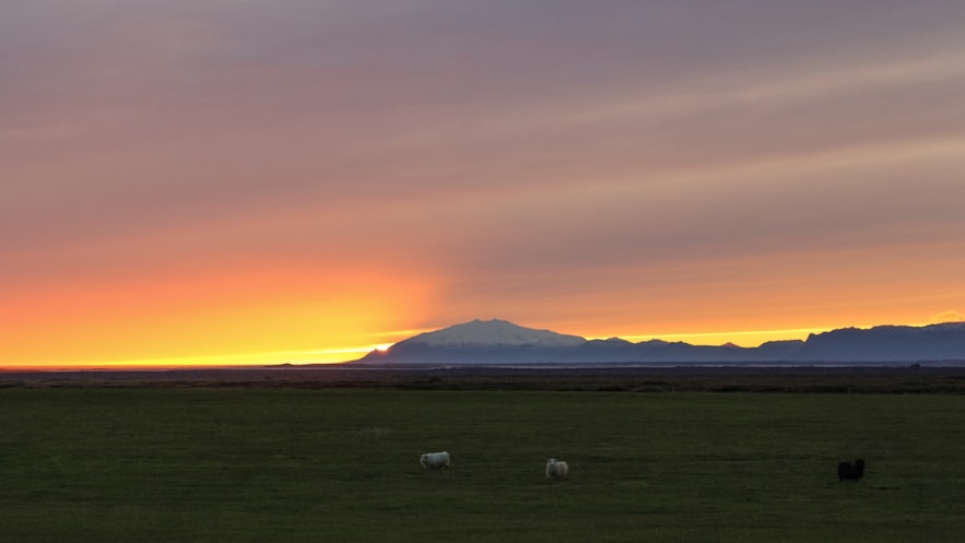 Snæfellsjökull bei Sonnenuntergang