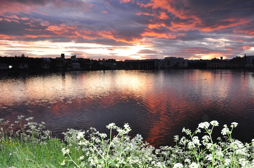 The flowers around Reykjavík city pond help the setting :)