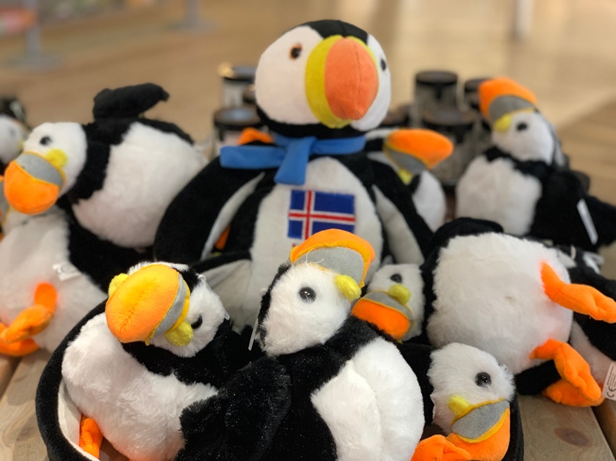 海鹦是冰岛的象征，但不要去那些利用海鹦进行营销的商店，它们往往是旅游陷阱。