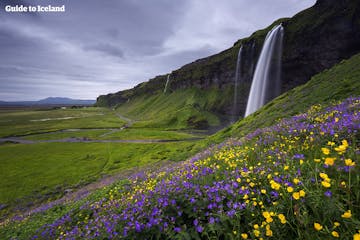 Islanda, il Paese delle Meraviglie