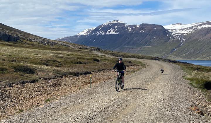 This 3-Hour e-Bike tour takes you to an old farmhouse and a series of hidden waterfalls in East Iceland.