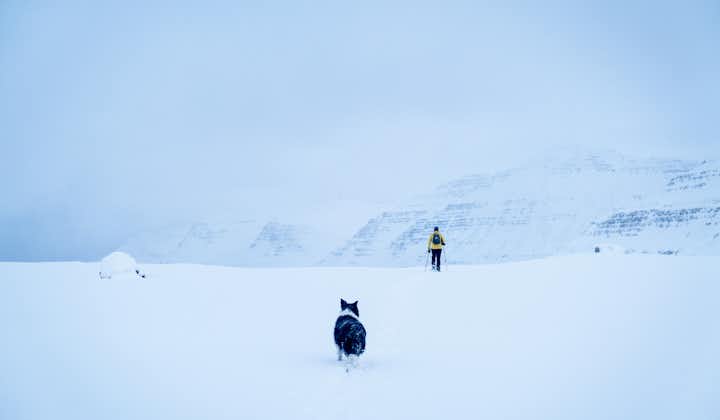 The vast valleys outside Seydisfjordur is perfect for snowshoeing adventures.