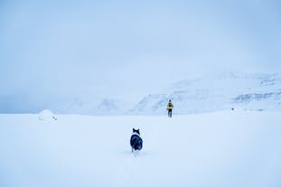 The vast valleys outside Seydisfjordur is perfect for snowshoeing adventures.