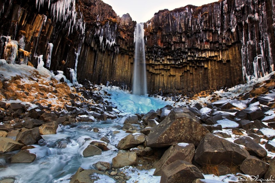 Chute d'eau de Svartifoss dans la réserve de Skaftafell dans le sud de l'Islande en hiver