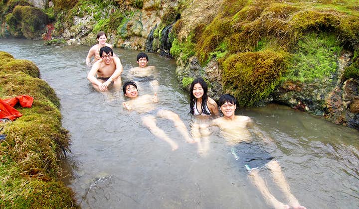 レイキャビク発｜レイキャダルル渓谷でハイキングと川の温泉入浴