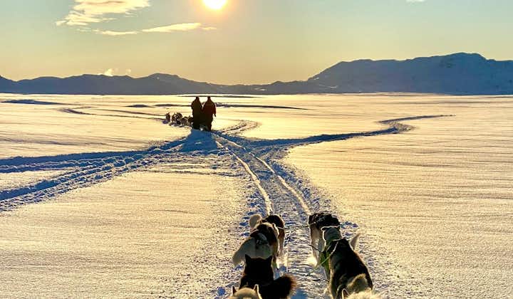 Huskies follow carved out tracks through the snow during a dog sledding tour at sunset.