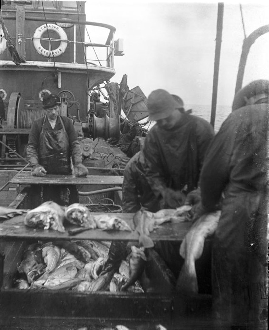 1912年在Baldur号拖网渔船上工作的冰岛渔民。