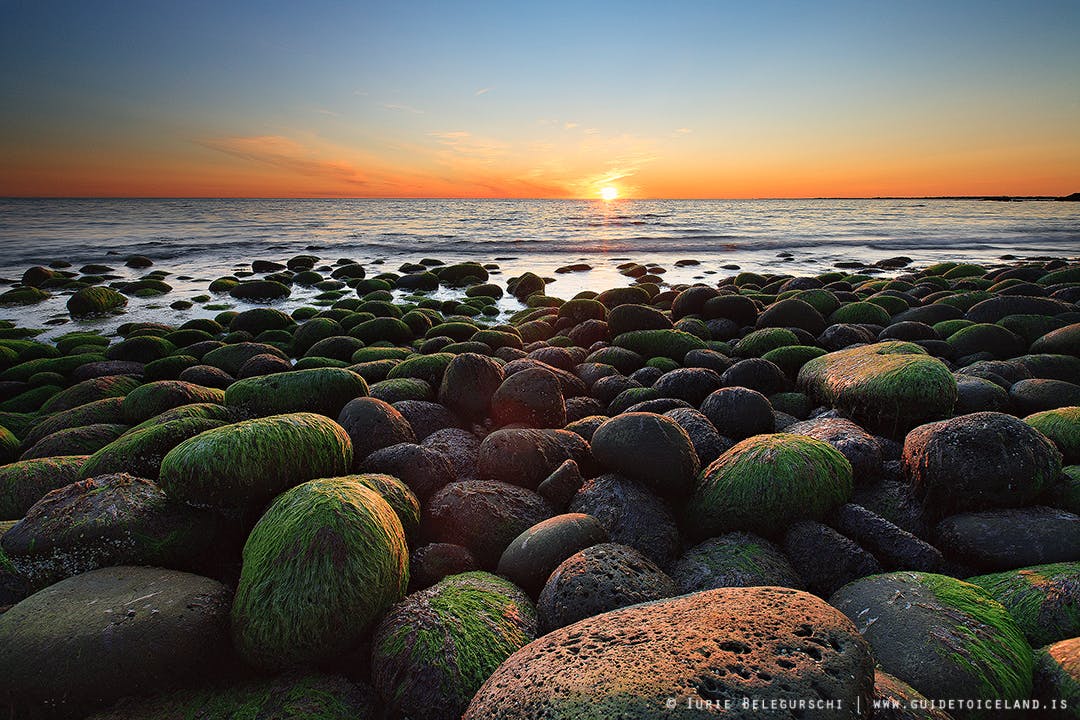 沈みいく太陽と、苔に覆われた石が転がる海岸