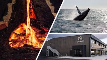 Exciting 4.5-Hour Whale Watching and Lava Show Combo Tour from Reykjavik