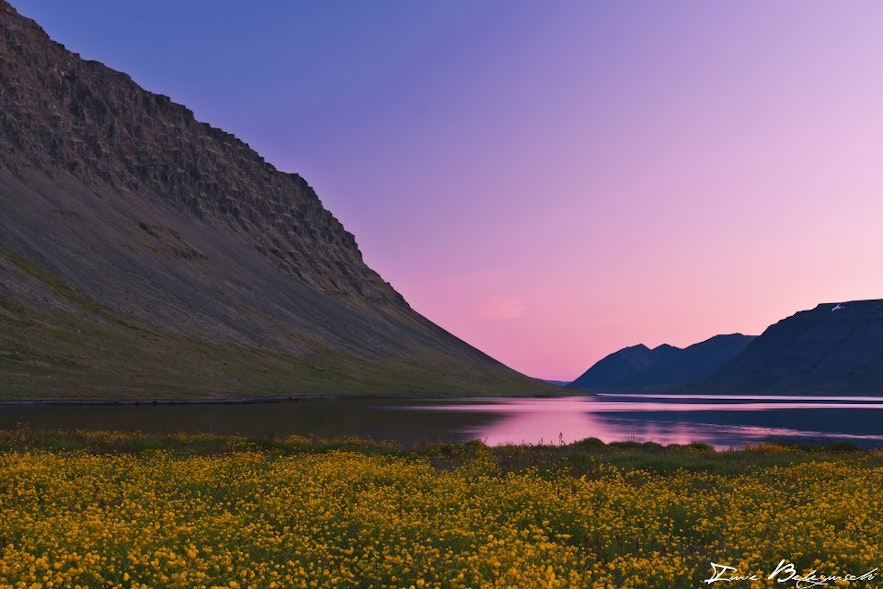 Icelandic summer colours