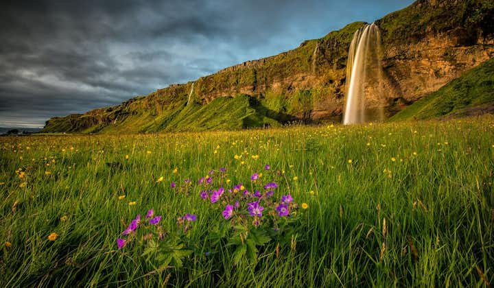 En av floderna som bildats av Eyjafjallajökulls smältvatten rinner ut i det vackra vattenfallet Seljalandsfoss.