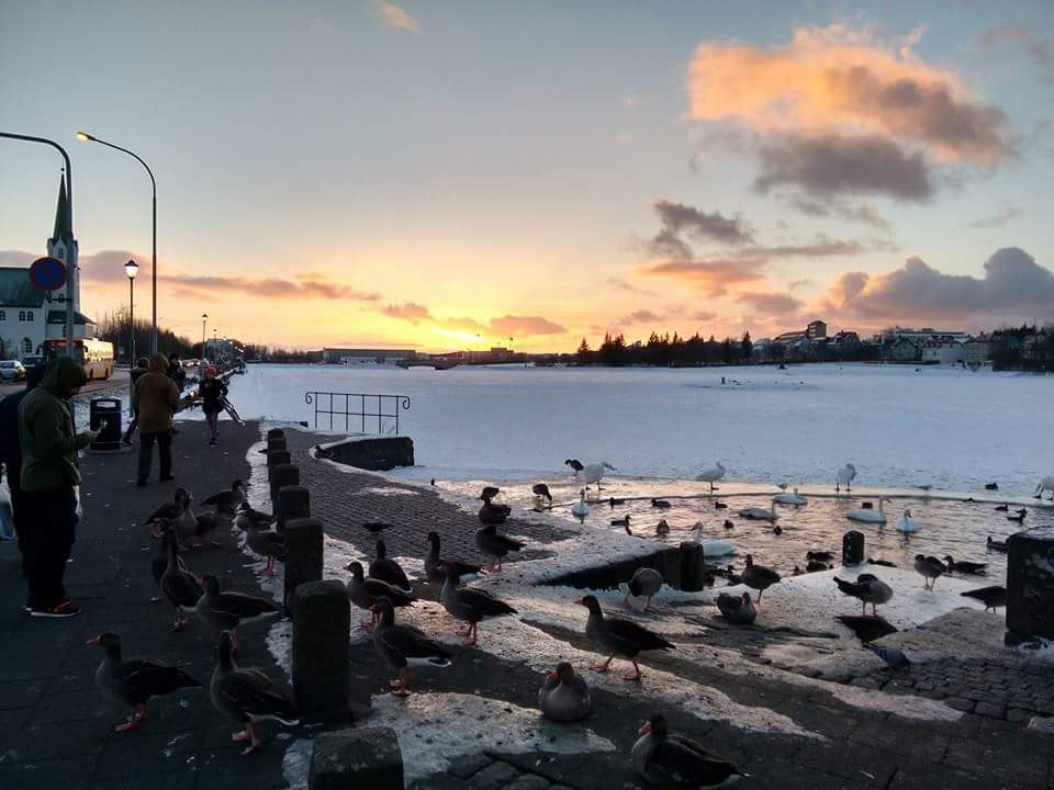 Qué ver en Islandia – Islandia en 6 días - Sur, Este y Oeste