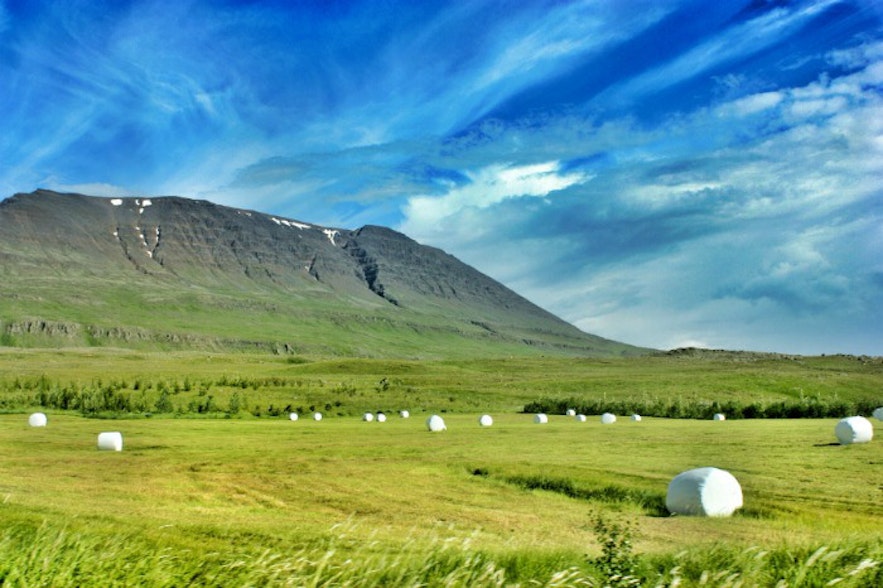 Skagafjordur Iceland