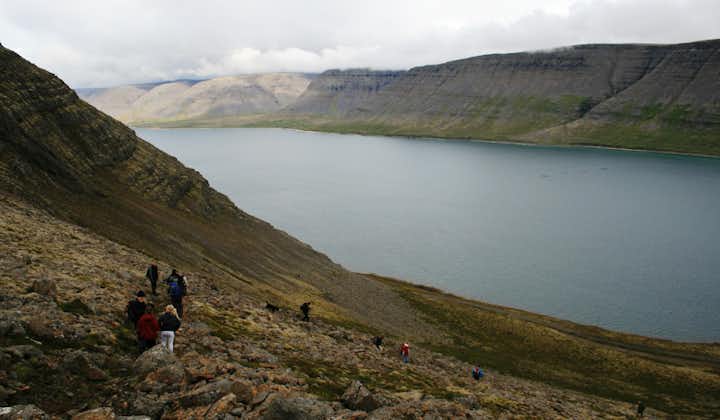Inoubliable Randonnée de 5h dans les Fjords de l'Ouest Islandais avec Prise en Charge à Patreksfjordur