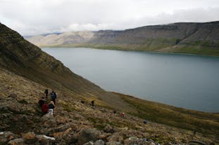 Inoubliable Randonnée de 5h dans les Fjords de l'Ouest Islandais avec Prise en Charge à Patreksfjordur